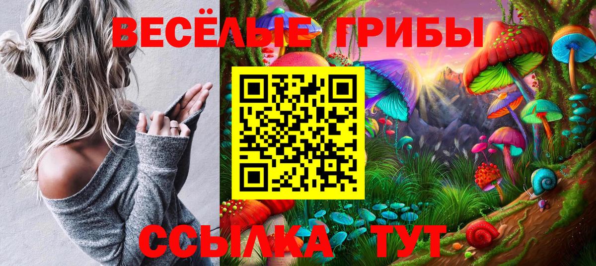Галлюциногенные грибы прущие грибы  Вход с VPN  Белгород 